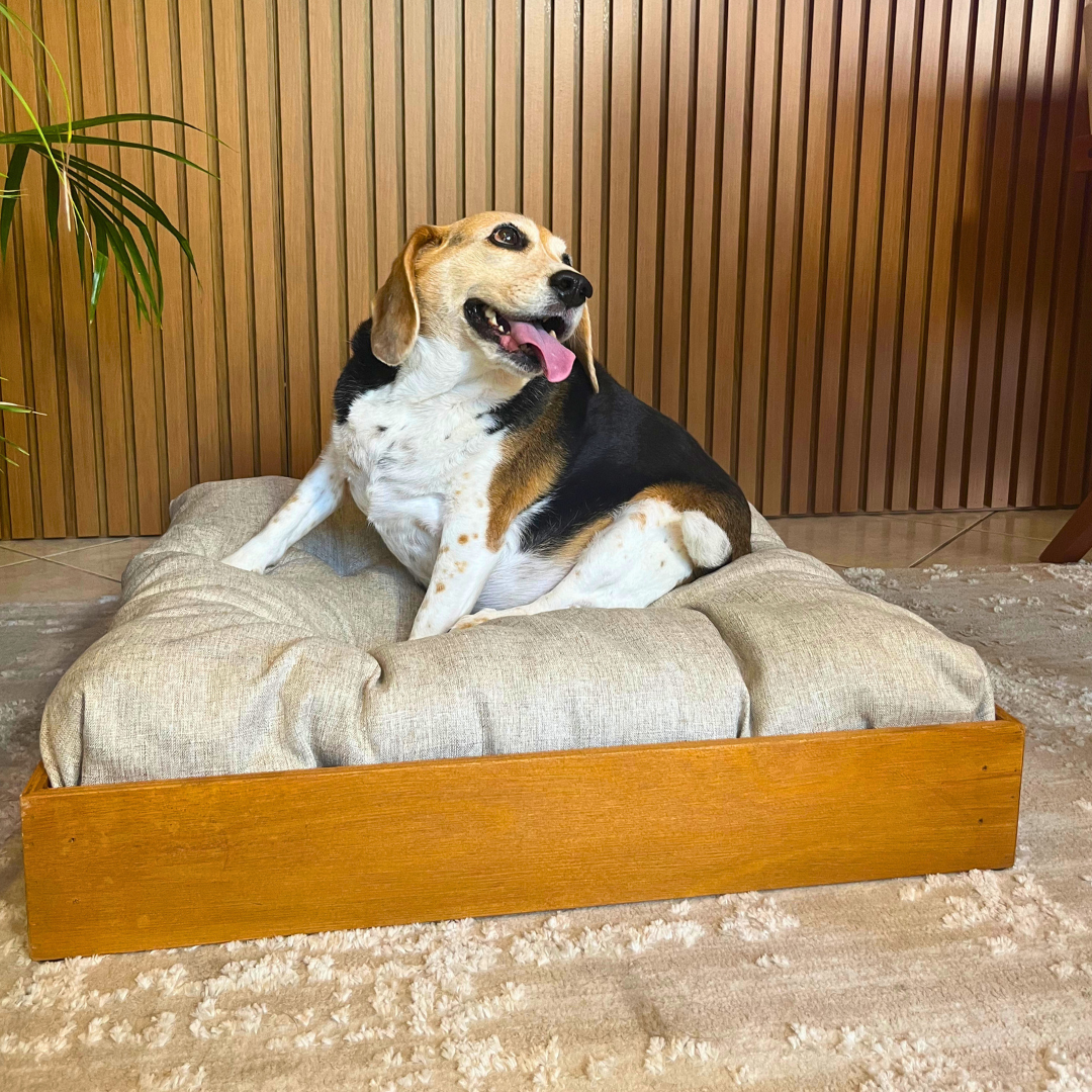 Caminha para pets